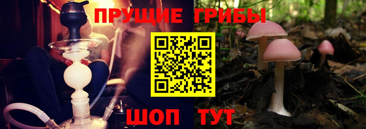 Псилоцибиновые грибы мицелий Новоуральск